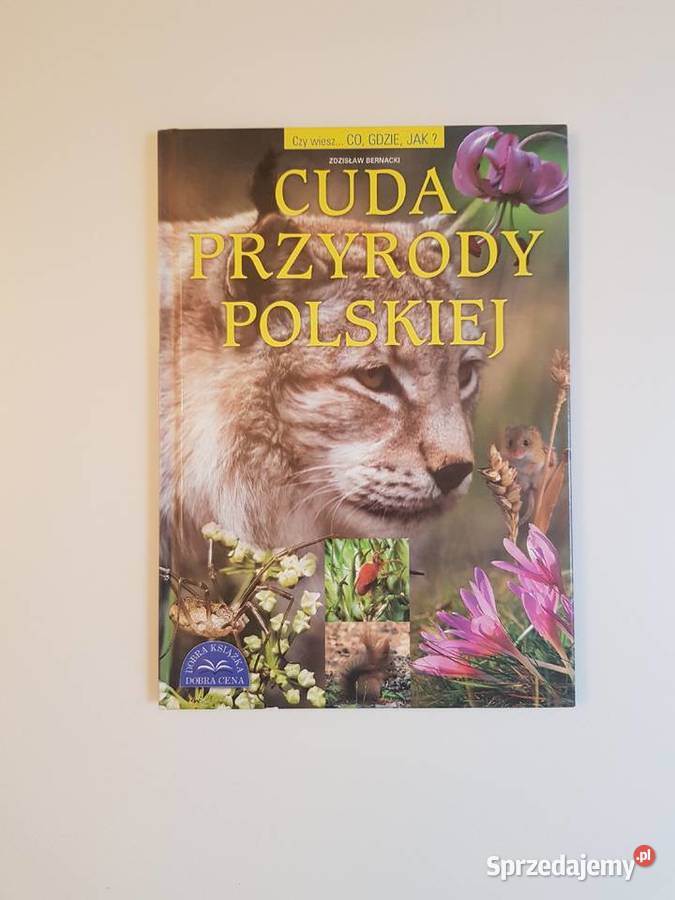 Cuda przyrody polskiej Szczecin