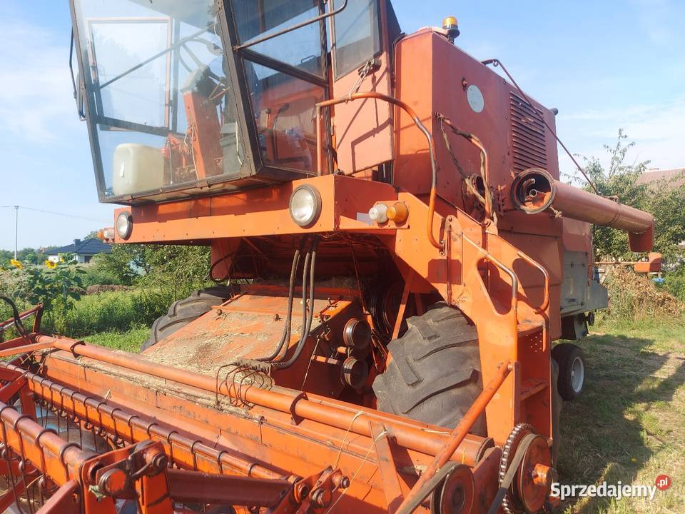 Bizony z 056 Bizon Konin sprzedam