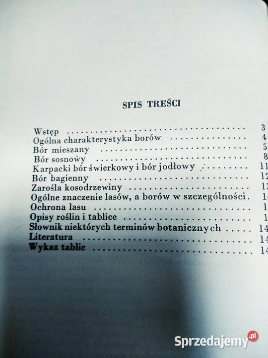 Rośliny borów medycyna naturalna mazowieckie