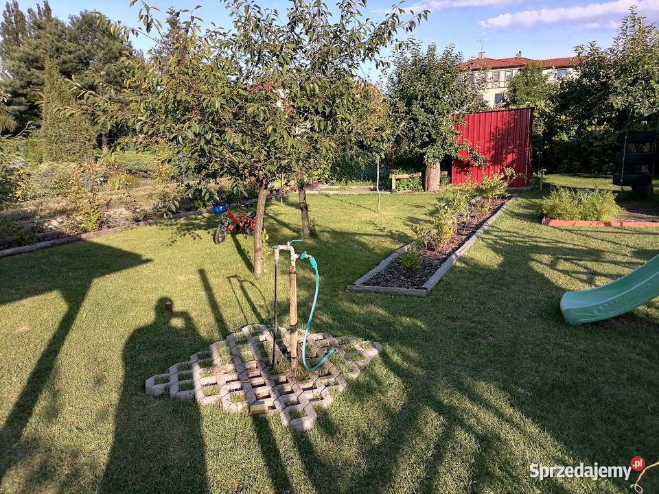 Działka ROD Fiołek rekreacyjna Nieruchomości