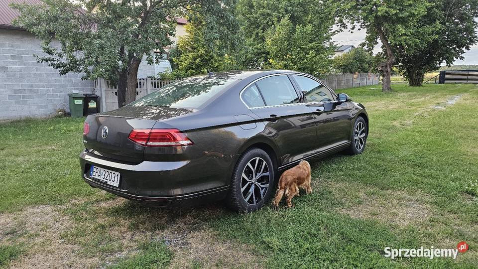 Volkswagen Passat B8 20 VW TDI 150 2018 Bełchatów sprzedam