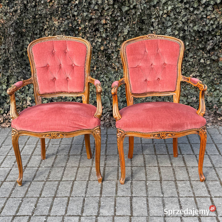 ARTexpert Para foteli Ludwik fotel siedzisko Dobrzany