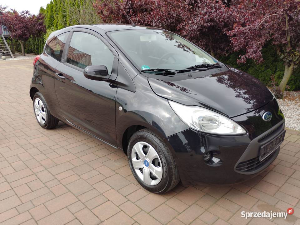 Ford Ka 2008r 12i 70 KLIMA SPRAWNA klimatyzacja Witkowo sprzedam