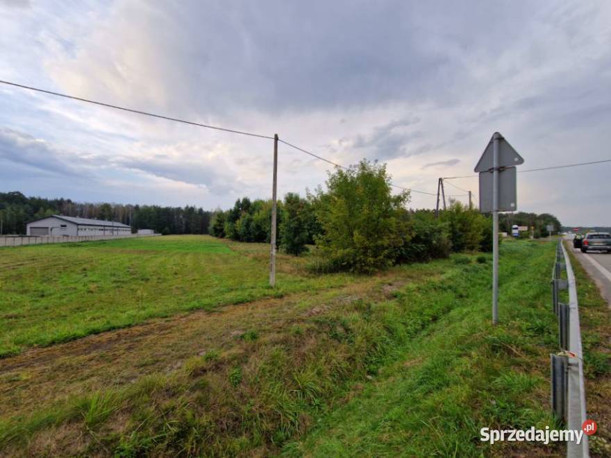 Syndyk sprzeda nieruchomość niezabudowaną we wsi
