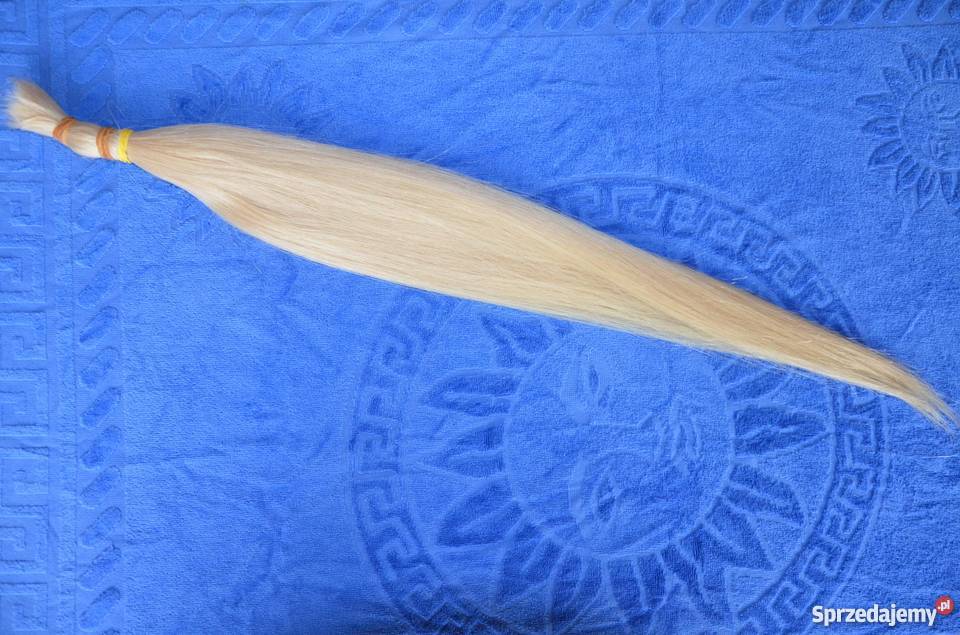 Włosy słowiańskie i dziewicze 114 g 65 dolnośląskie Wrocław sprzedam