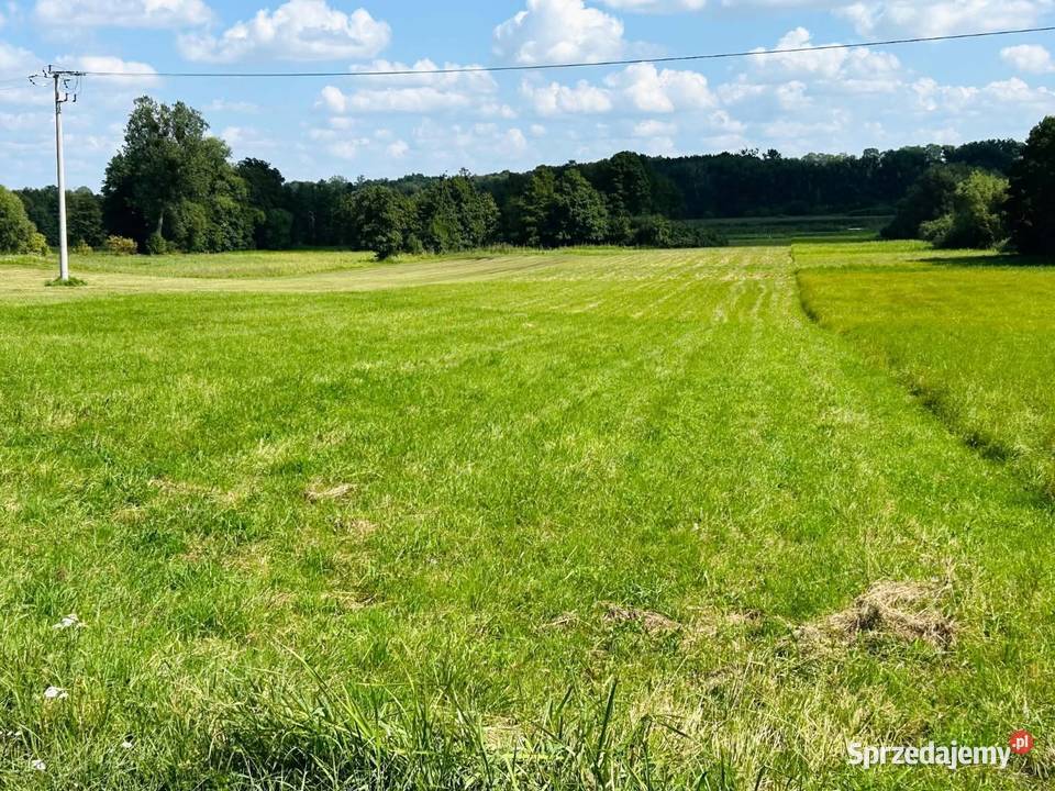 Działka budowlana z dostępem do rzeki 119ha Wrzeszewo
