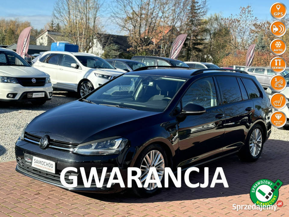 Volkswagen Golf Gwarancja Navi Bluetooth Ksenon Sade Budy sprzedam