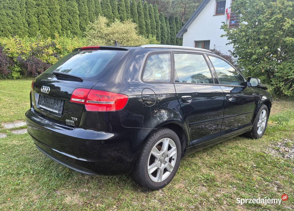 Audi a3 8p 16 tdi 2013 pali Kielce