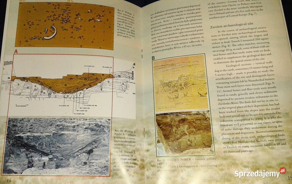 Zwoleńscy łowcy z epoki kamienia Elżbieta Kultura i Rozrywka Chełm