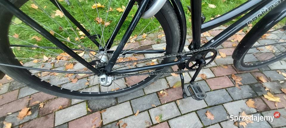 Rower miejski Cargo Utility Cortina U4 Bagażniki Gorzów Wielkopolski