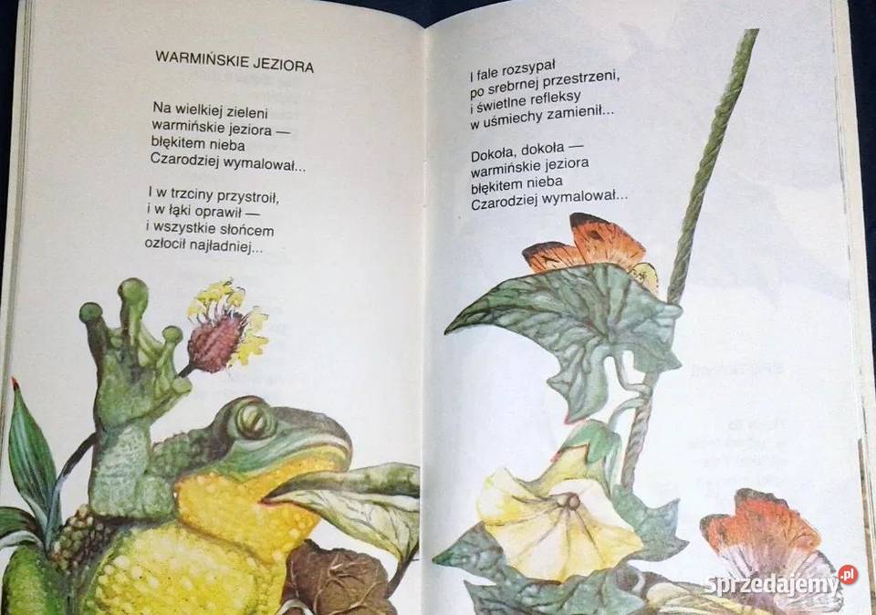 Skąd leci motyl Władysław Grzeszczyk sprzedam