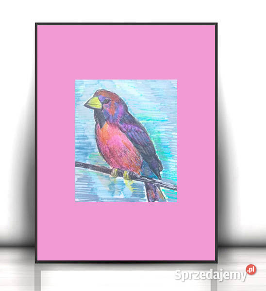 ptaszek obrazek A3 ptaszek plakat 30x40 boho sprzedam