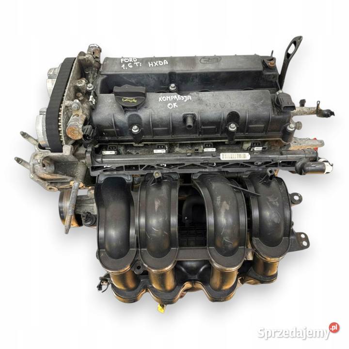 SILNIK HXDA Ford Focus II MK2 C C 16 16V Ti HXDB osobowe Chełm