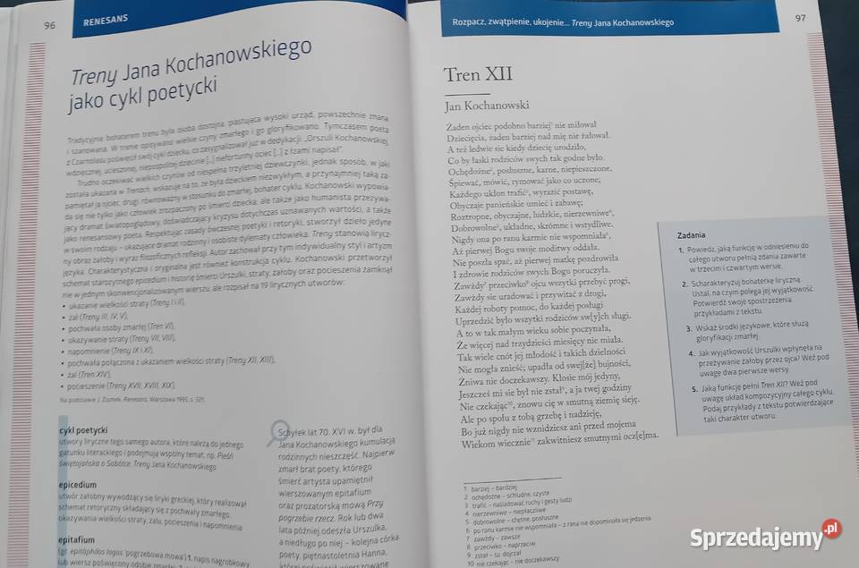 Język polski 1 Sztuka wyrazu Cz2 renesans barok Koźminek