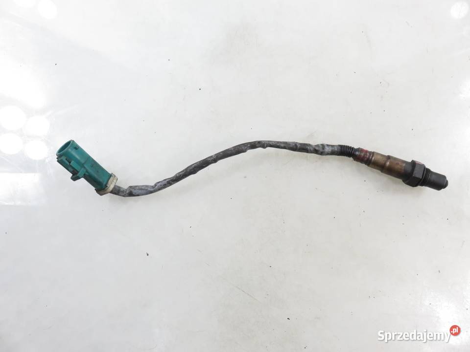 SONDA LAMBDA FORD FOCUS MK2 16 Ti 0258006599 sprzedam