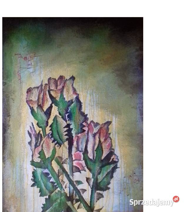 Egzotyczne Kolczaste Róże Esejowe Jarosław sprzedam