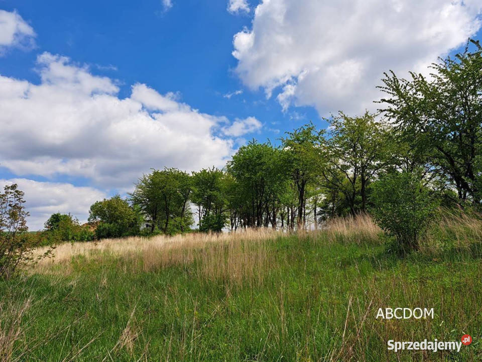 Dojazdów Działka Budowlna pow700 M2 760m2 Sprzedaż małopolskie