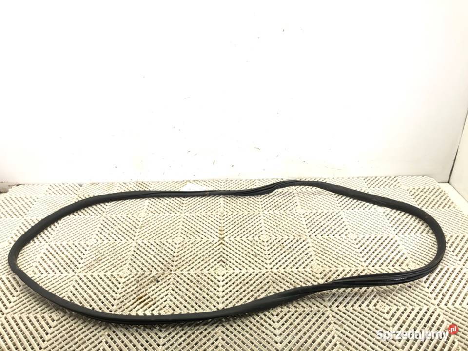 USZCZELKA DRZWI PRZÓD LEWA TOYOTA PROACE Inny