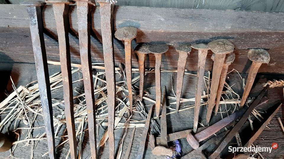 Zabytkowe gwoździe Pozostałe Sosnowiec sprzedam