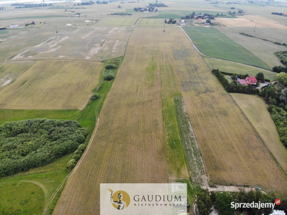 Działki przemysłowe PSSE Sztum utwardzona Sprzedaż