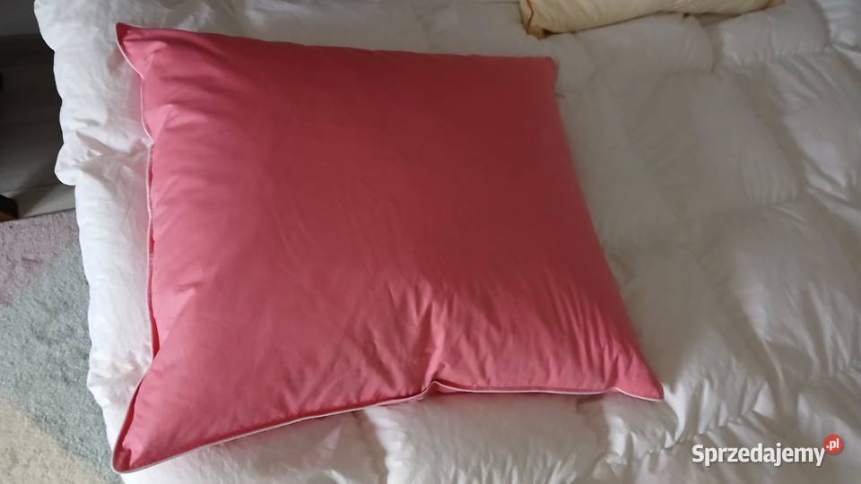 Poduszka 70x80 17 puch I pierze 100 naturalne różowy wielkopolskie Poznań sprzedam
