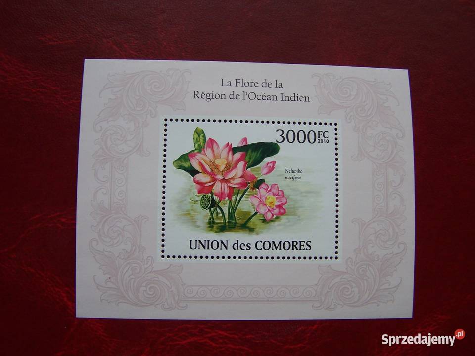 Komory 2010 MNH Flora Kwiaty Tychy