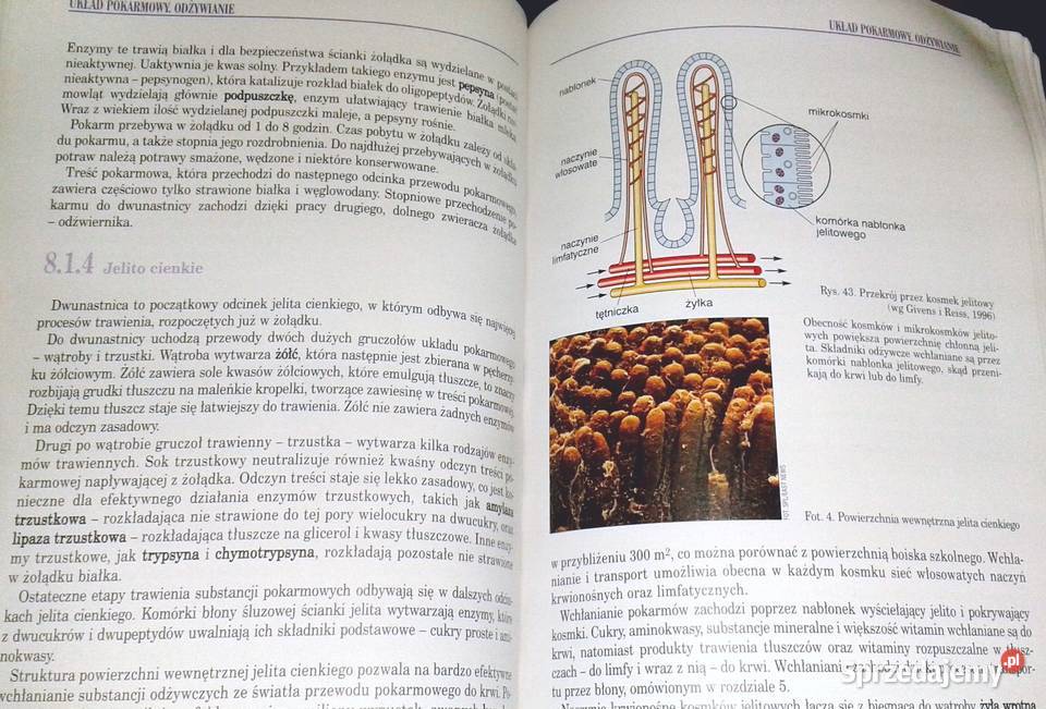 Biologia 1 Podstawy życia Tajemnice ludzkiego Chełm