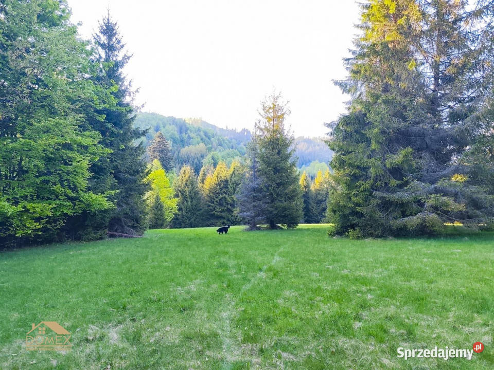 Grunt Ujsoły 5374m2 śląskie
