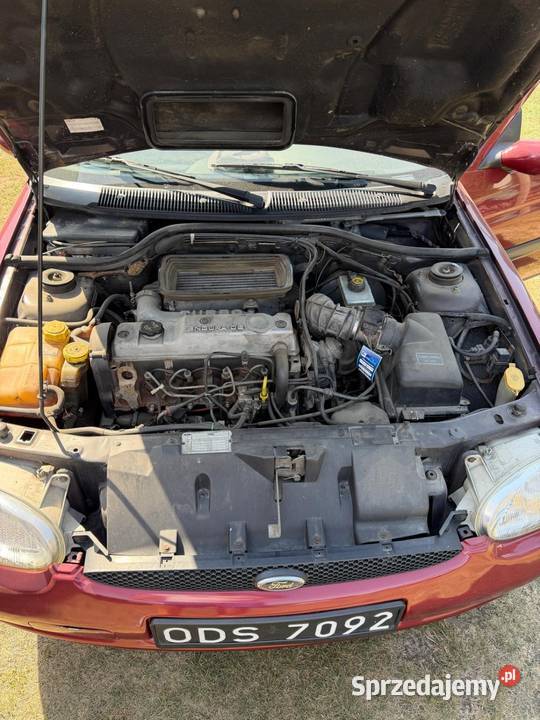 Ford Escort 18 TD 1999 nowości w jednych rękach Kombi