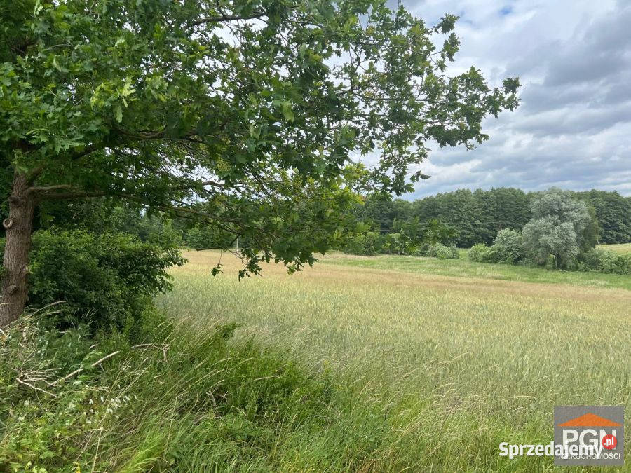 Działka 7300m2 Ościęcin