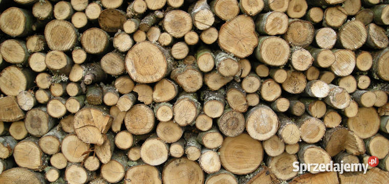 sprzedam drewno