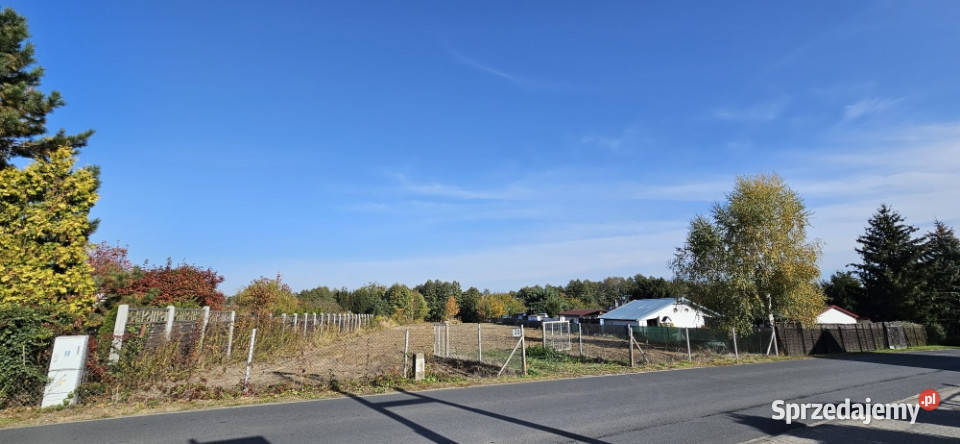 Działka budowlana o powierzchni 5386m2 z MPZP asfalt Kiekrz