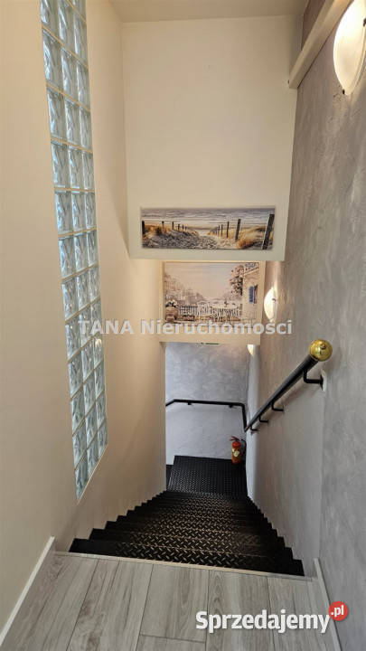 Lokal Kraków 81m2 Wynajem