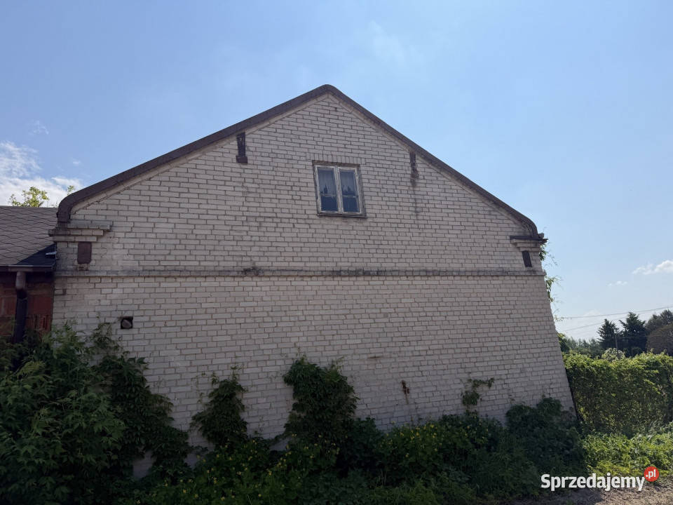 Siedlisko z lasem i łąką Zawady gm Kampinos