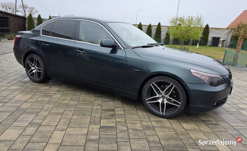 Bmw 525d E60ManualZamiana Skwierzyna