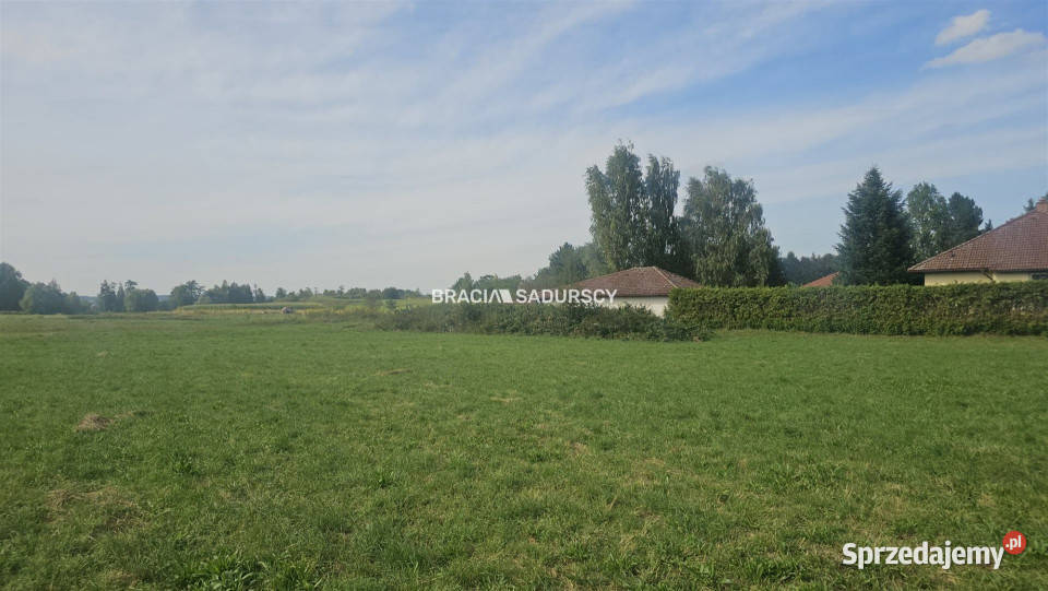 Działka na sprzedaż Cholerzyn 850m2 asfalt Sprzedaż