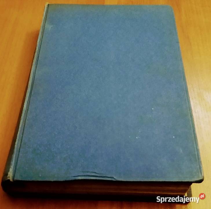 Dziwy powietrza i wody Ellison Hawks Gdańsk