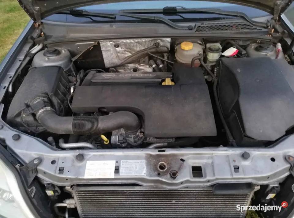 Opel Signum 22 direct z Niemiec Zadbany benzyna Motoryzacja Zgorzelec