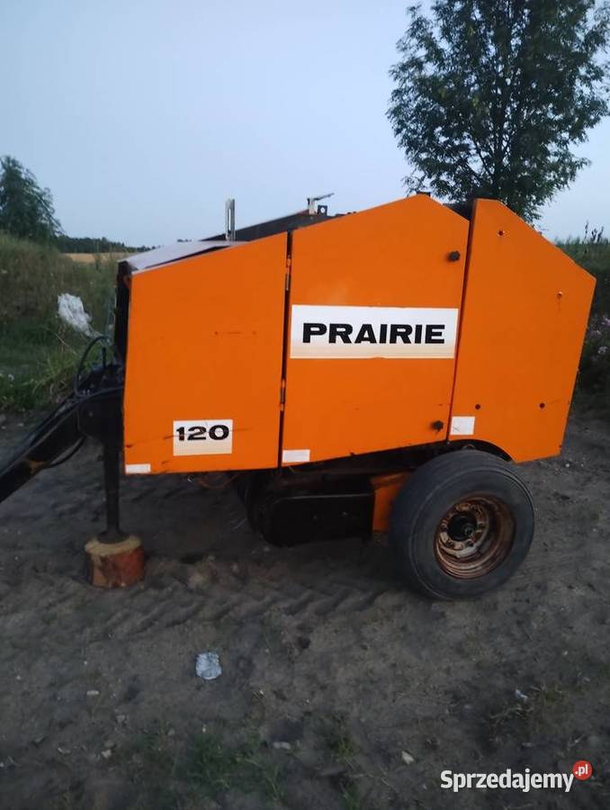 Carrarosipma Sipma Kolno