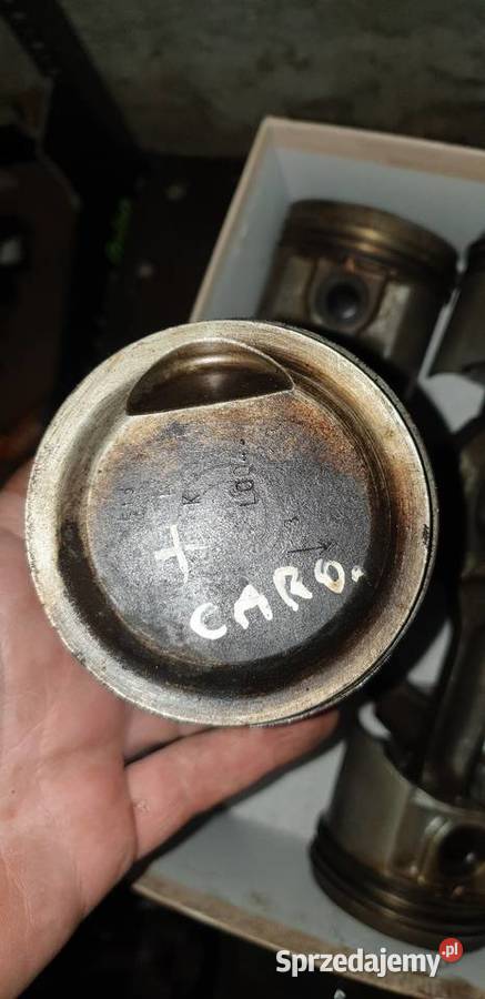 Tłoki do poloneza caro Puławy