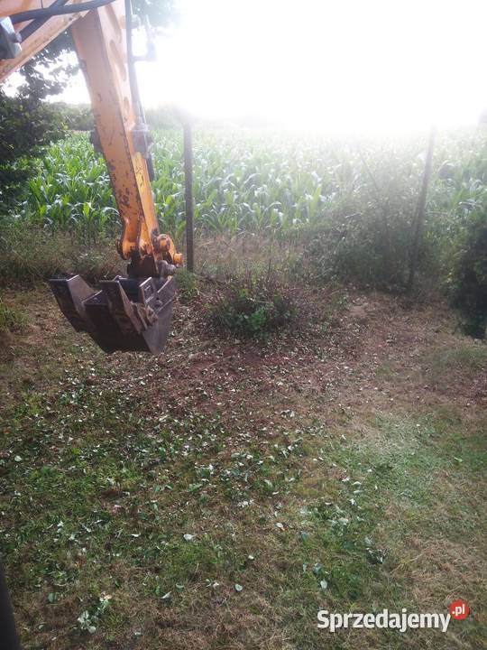 Pielęgnacja ogrodów ogrodnictwo mazowieckie Strzegowo