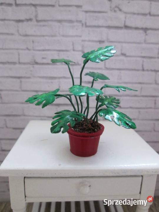 Monstera do domku lalek Lalki i akcesoria Bogatynia