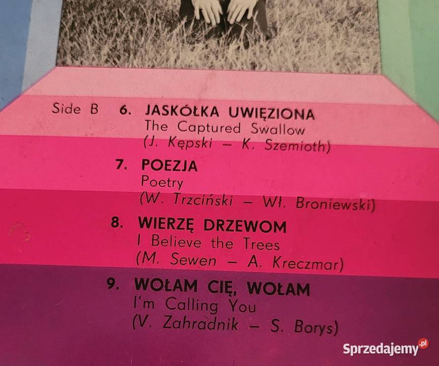 Stan Borys Szukam przyjaciela płyta winylowa z kujawsko-pomorskie Chełmno