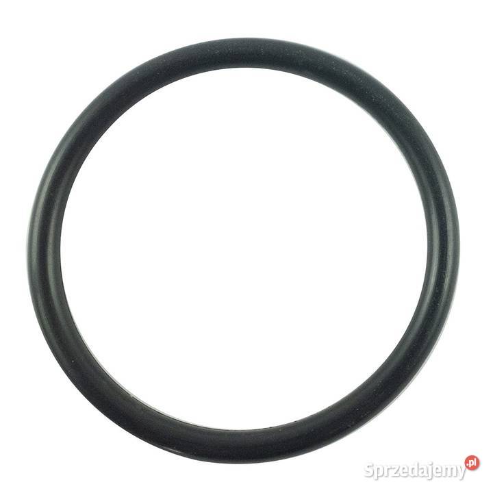 Oring 344 x 310 mm LS XJ25 LS MT125 LS MT335 LS Tajęcina sprzedam