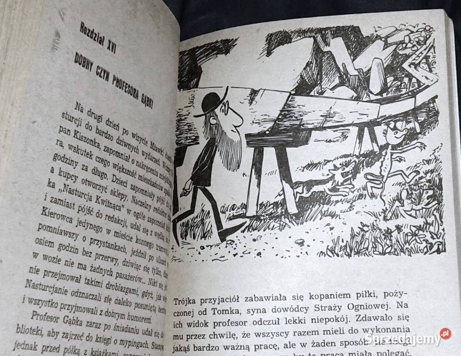 Misja profesora Gąbki Stanisław Pagaczewski Chełm