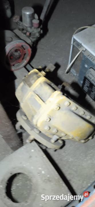 zwolnica HOLLAND Białoskóry sprzedam