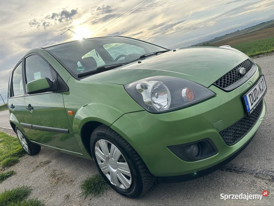 Ford Fiesta VI 14 16V 80 2007 z Niemiec