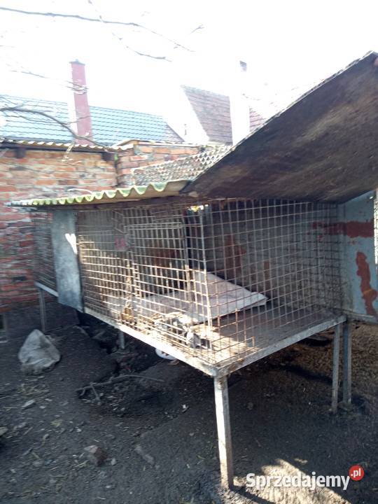 Sprzedam klatki Brennik sprzedam
