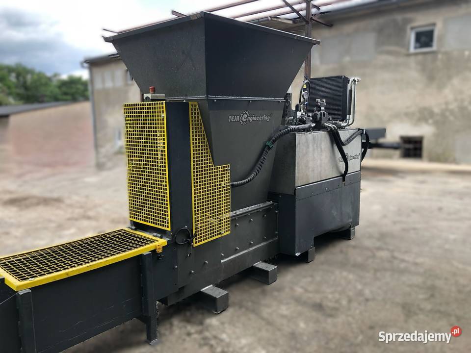 Belownica paczkarka Sośno