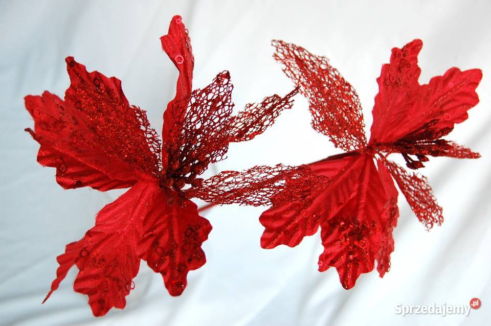 Gwiazda betlejemska na piku 72 dekoracja Lublin